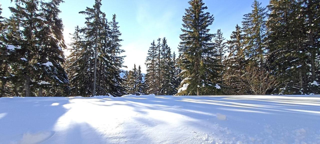 Bel Appart Pour 4/6 Pers Plein Sud Sans Vis A Vis Chamrousse Exterior photo